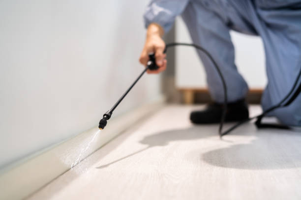 Best Pest Control for Homes  in Bushyhead, OK