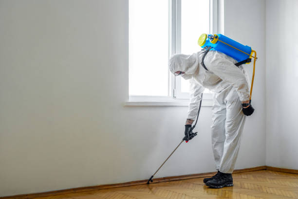 Best Pest Control Near Me  in Bushyhead, OK