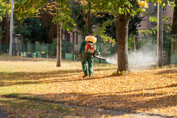 Best Pest Control Near Me in Bushyhead, OK