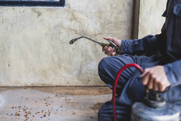 Best Best Pest Control Near Me  in Bushyhead, OK