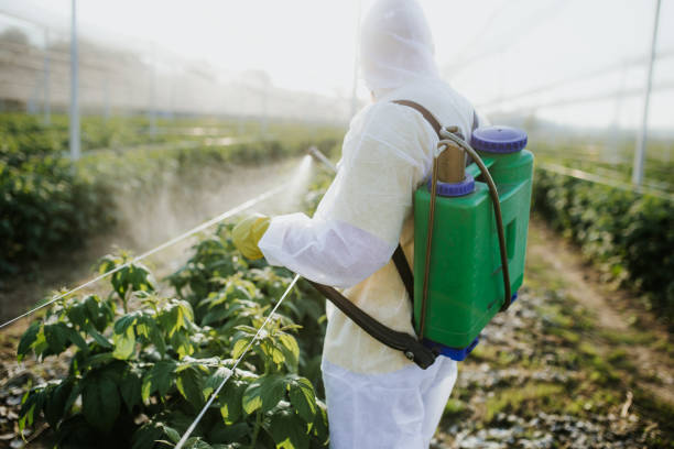 Best Pest Inspection Near Me  in Bushyhead, OK